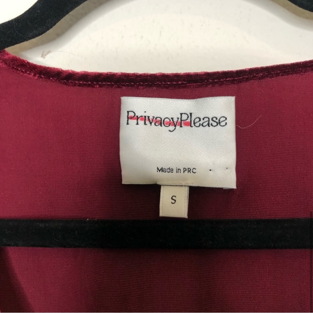 💜 Privacy Please X Revolve Astro Velvet Dress - Picture 5 of 11